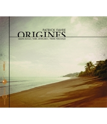 Patrick Favre - Origines