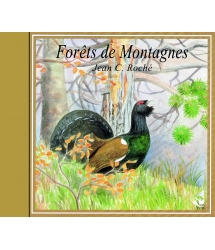 FORÊTS DE MONTAGNE