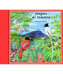 JUNGLES DE SUMATRA VOL 1