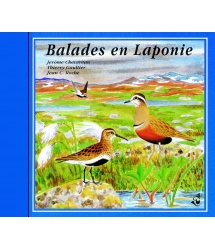 Balades En Laponie