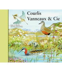 Courlis, Vanneaux Et Cie