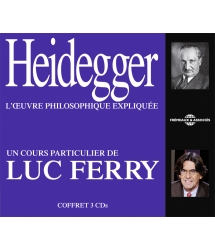 HEIDEGGER : UN COURS...