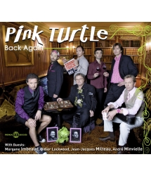 Pink Turtle - Back Again