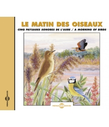 LE MATIN DES OISEAUX