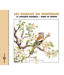 OISEAUX DU PRINTEMPS - 16...