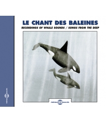 LE CHANT DES BALEINES