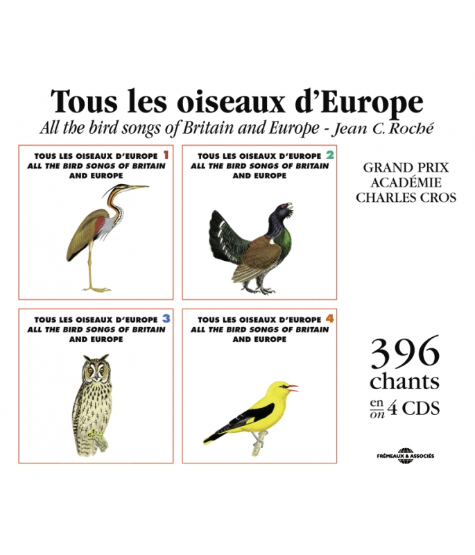 Plumes De L'aile Couple Oiseau Isolé Sur Fond Blanc Banque D
