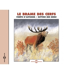 Le Brame Des Cerfs - Forêts...