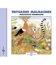 Paysages Malgaches