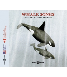 WHALE SONGS