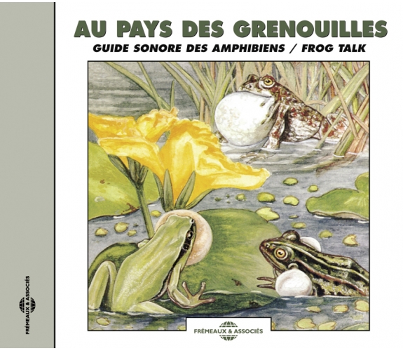 Le chant des grenouilles amplifié par des tuyaux - Les Débrouillards