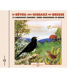 Le Réveil Des Oiseaux En...