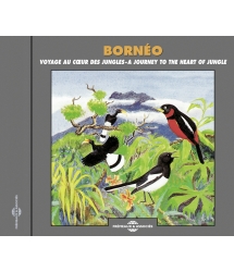 BORNEO - A JOURNEY TO THE...