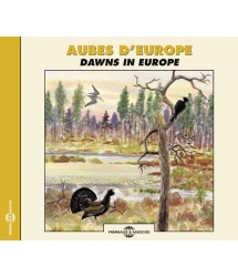 Aubes D'Europe - Ambiances...
