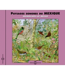 PAYSAGES SONORES DU MEXIQUE