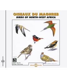 Oiseaux Du Maghreb