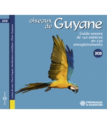 OISEAUX DE GUYANE