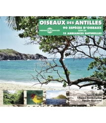 Oiseaux des Antilles