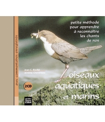 Oiseaux Aquatiques Et Marins