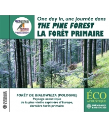 Une Journée dans la forêt...