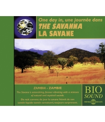 Une Journée dans la Savane