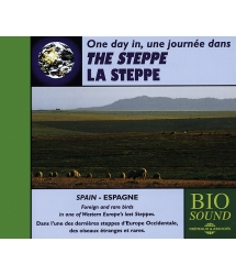 Une Journée dans la steppe