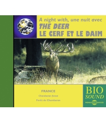 UNE NUIT AVEC LE CERF ET LE...