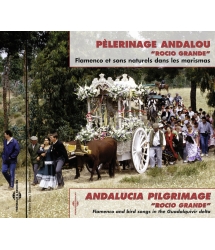 Pèlerinage Andalou : Rocio...