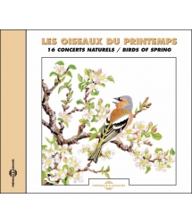 OISEAUX DU PRINTEMPS - 16...