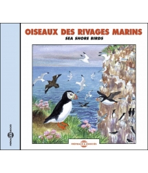 Oiseaux Des Rivages Marins
