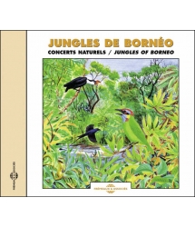 JUNGLES DE BORNEO -...
