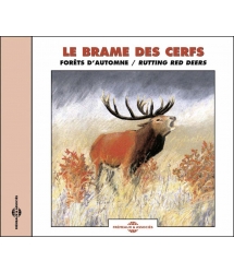 Le Brame Des Cerfs - Forêts...