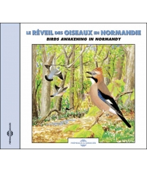 Le Reveil Des Oiseaux En...
