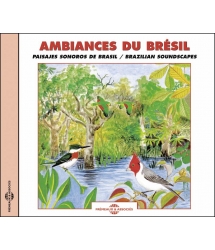 AMBIANCES SONORES DU BRÉSIL